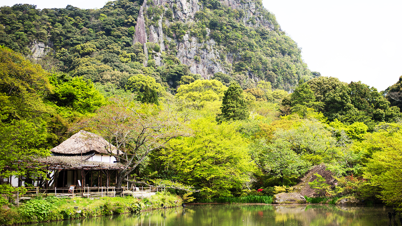 昼 / 20万本のつつじが織り成す花の絨毯