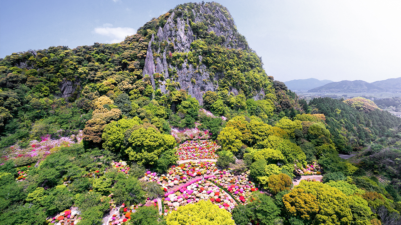 昼 / 20万本のつつじが織り成す花の絨毯