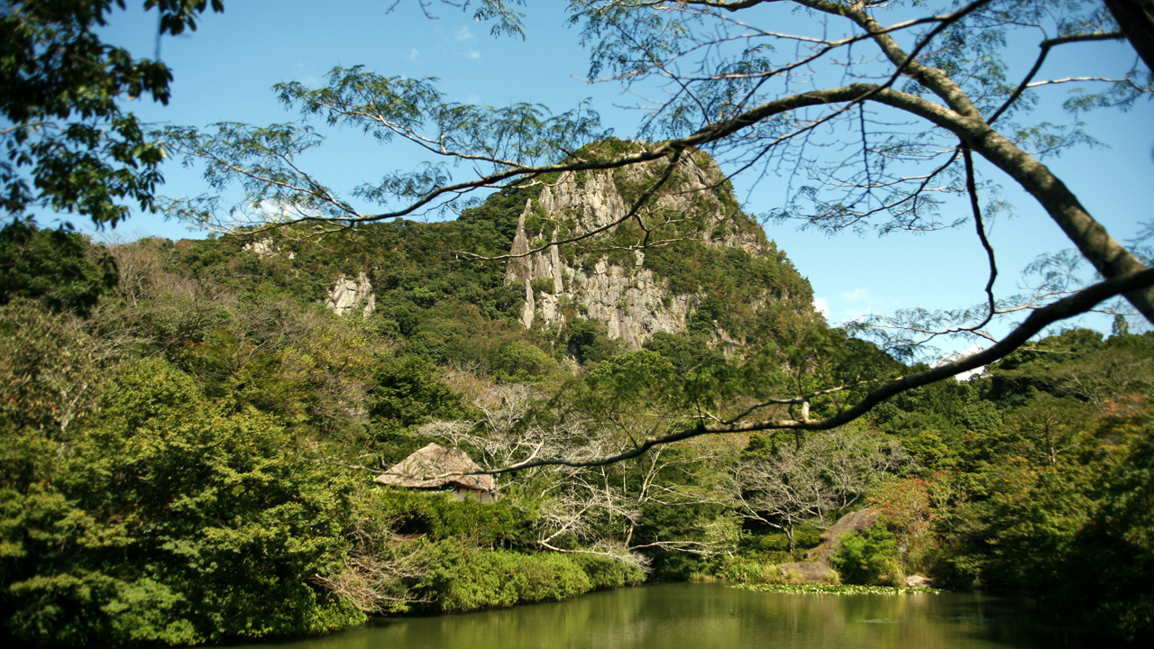 新緑の御船山楽園