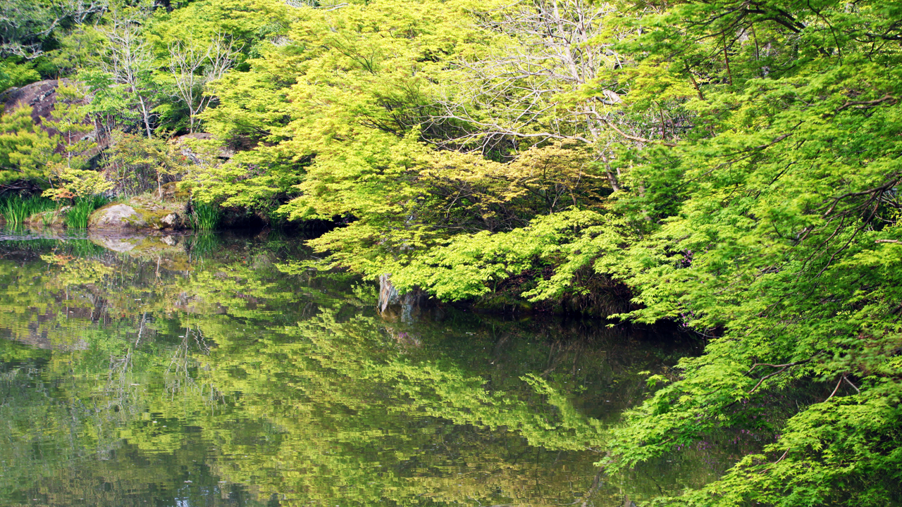 สวนมิฟุเนะยามะราคุเอ็นในช่วงใบไม้อ่อนแรกผลิ