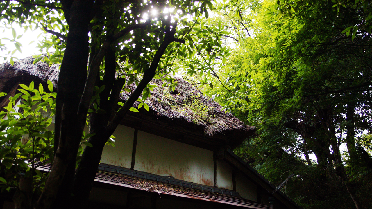 雨中的御船山樂園