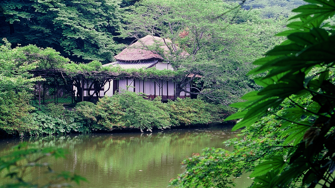 สวนมิฟุเนะยามะราคุเอ็นในช่วงฤดูฝน