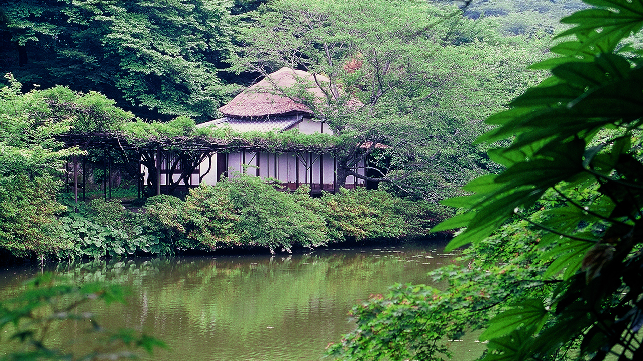 Mifuneyama Rakuen under rainfall