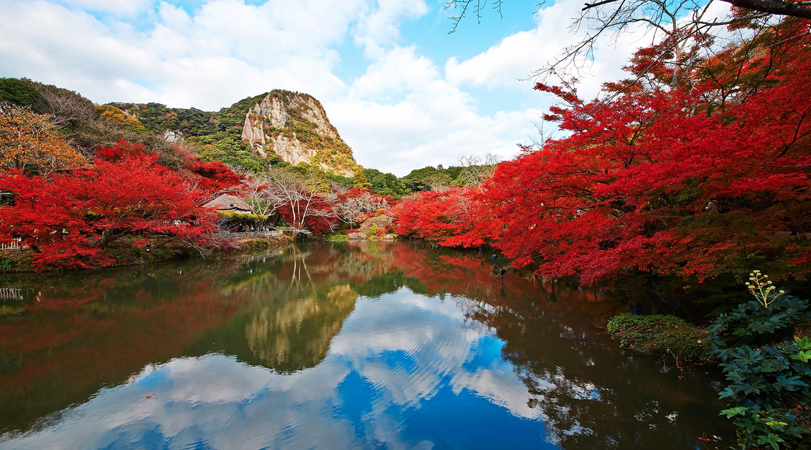 紅葉祭 禦船山樂園 日本九州武雄溫泉 紅葉祭 禦船山樂園 日本九州武雄溫泉