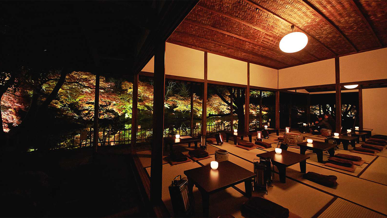 Chaya Bar