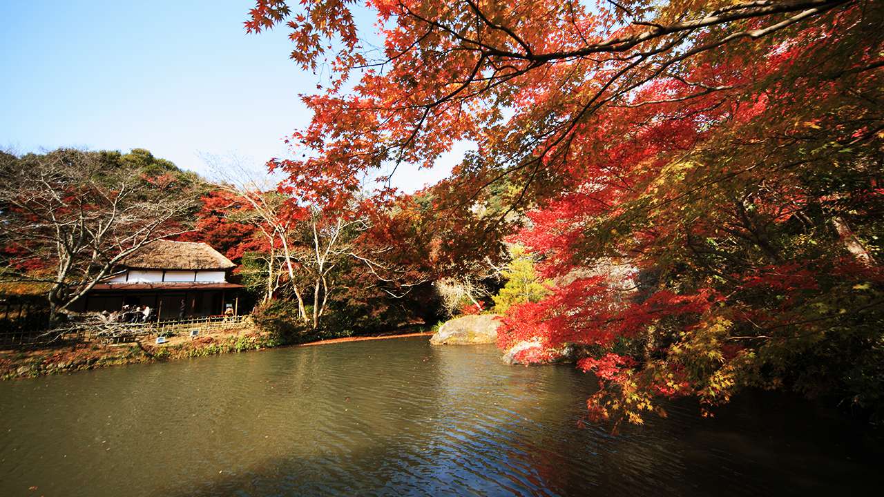 御船山樂園秋季美景